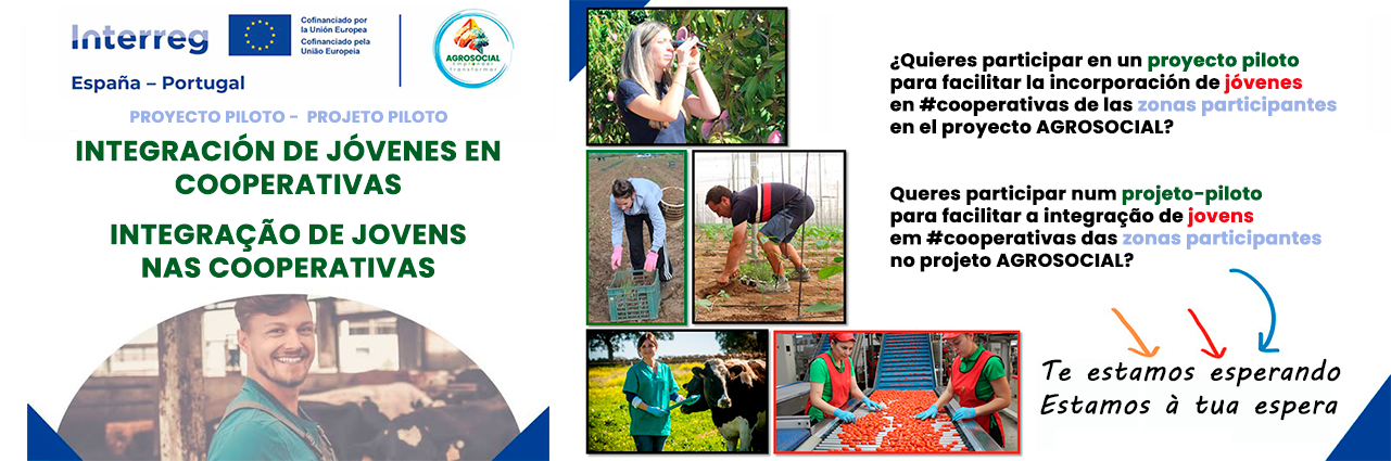 Proyecto piloto incorporación de jóvenes en cooperativas