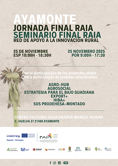 Cartel jornada final proyecto RAIA