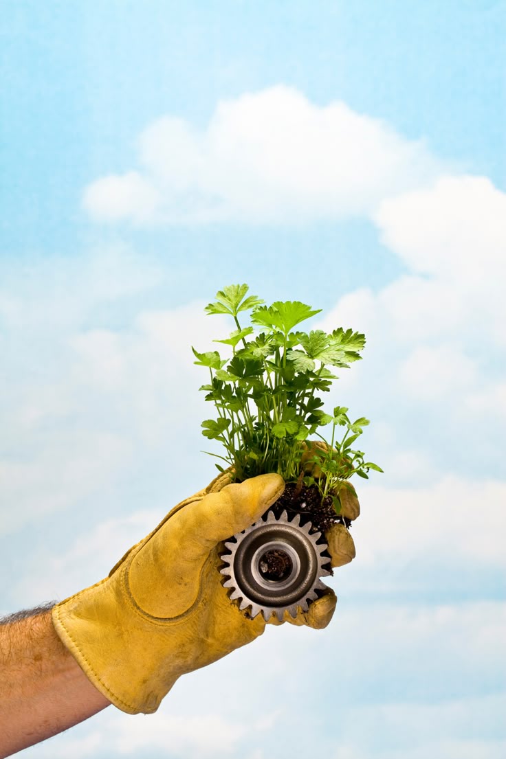 Imagen ilustrativa de la mecanización del campo