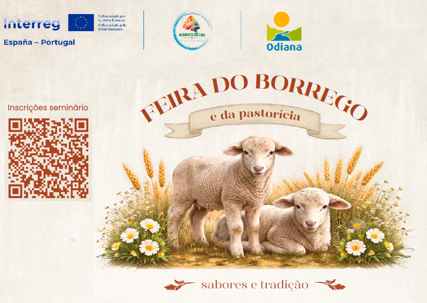Feria Do Borrego