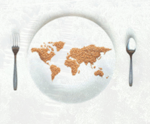 De dato al plato