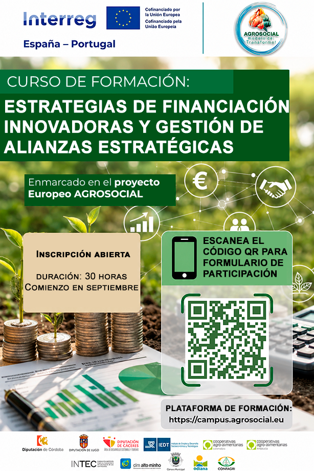 Cartel curso Estrategias de Financiación Innovadoras