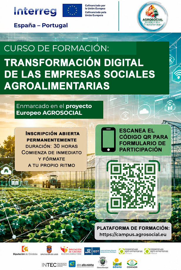 Cartel del curso Transformación digital de las empresas sociales
